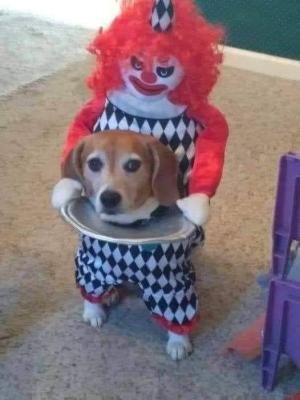 Прикрепленное изображение: 312980113_222229366797357_1051885613645162317_n.jpg